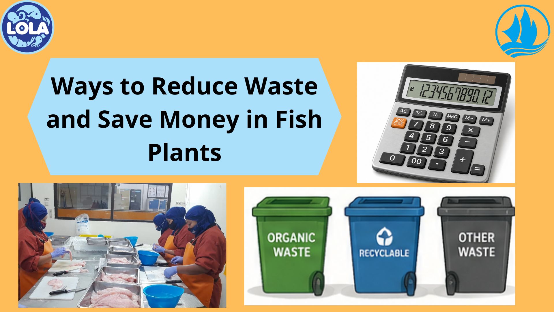 Ways to Reduce Waste and Save Money in Fish Plants